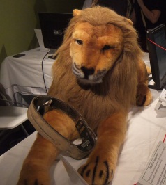 Lion with Radio